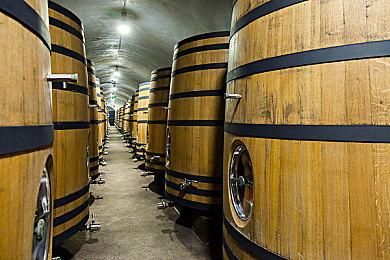 《星刃》开发者发布神秘信息 暗示下周将会有新消息